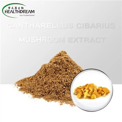عصاره قارچ Cantharellus cibarius