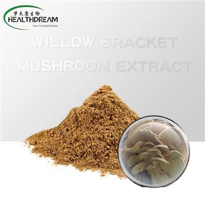 عصاره قارچ براکت بید